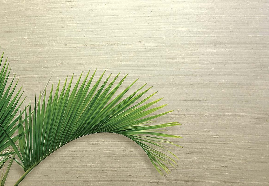 Обои Carl Robinson Edition 20 White Natural Textures CL50067
