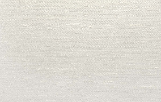 Английские обои Carl Robinson, коллекция Edition 20 White Natural Textures, артикул CL50068