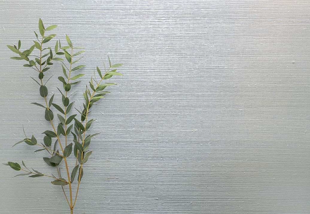 Обои Carl Robinson Edition 20 White Natural Textures CL50069