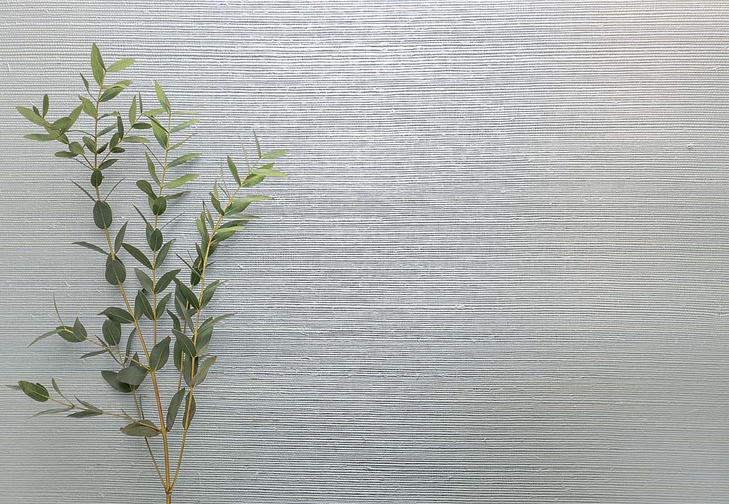 Обои Carl Robinson Edition 20 White Natural Textures CL50069