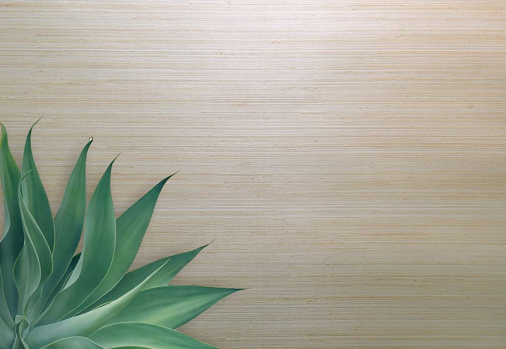 Обои Carl Robinson Edition 20 White Natural Textures CL50070