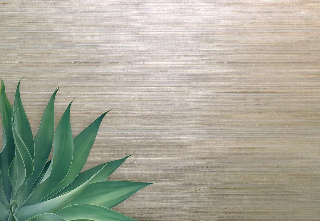 Обои Carl Robinson Edition 20 White Natural Textures CL50070