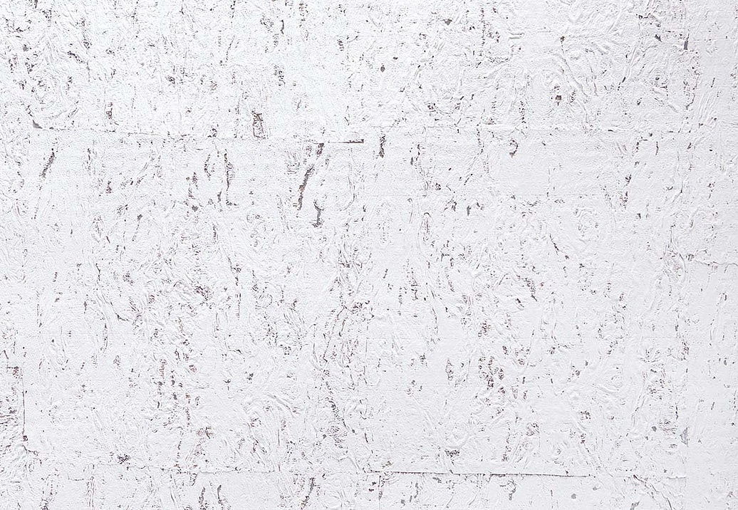 Обои Carl Robinson Edition 20 White Natural Textures DB32900