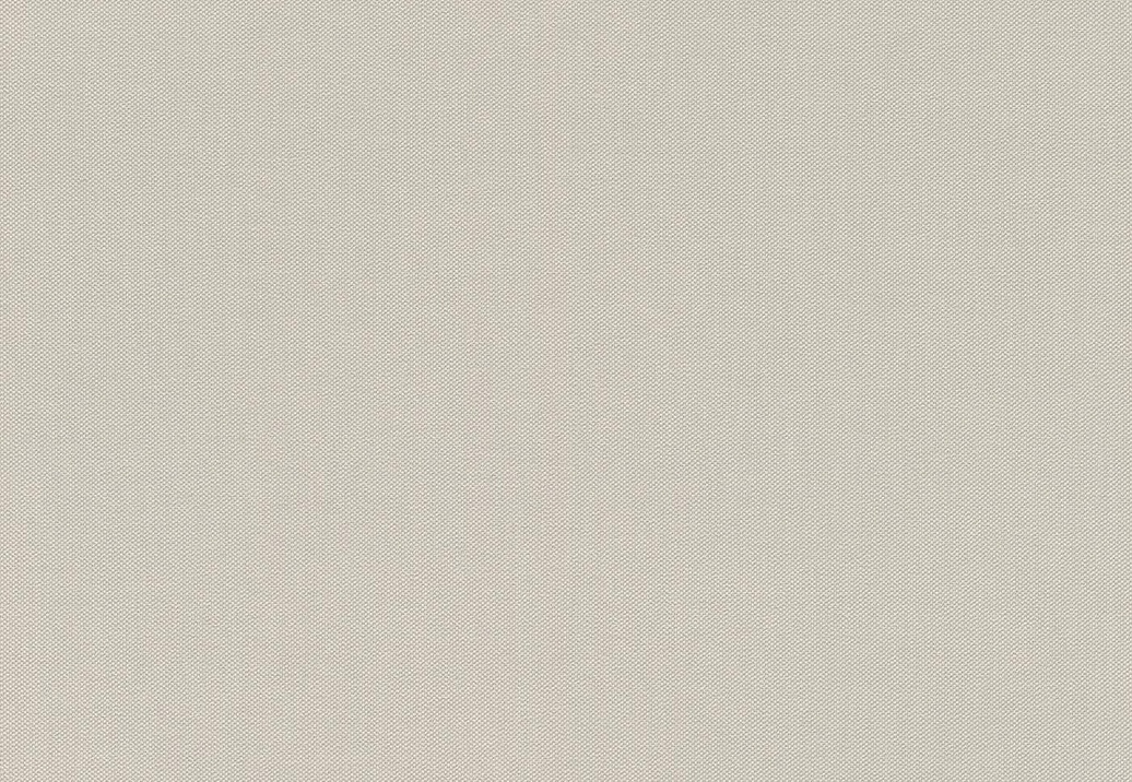 Обои Rasch Allegretto 542479