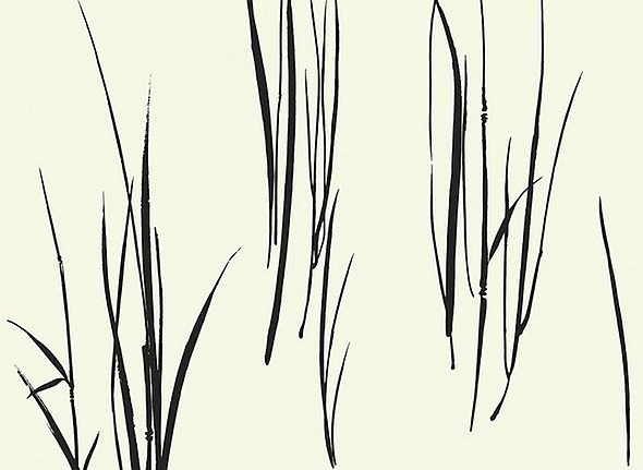 Обои Paper & Ink Coastal Chic CO10800