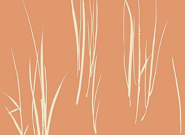 Обои Paper & Ink Coastal Chic CO10801