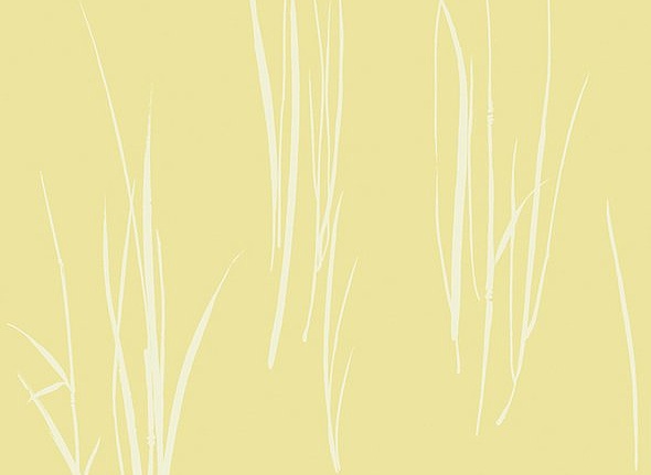 Обои Paper & Ink Coastal Chic CO10803