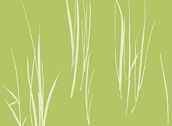 Обои Paper & Ink Coastal Chic CO10804