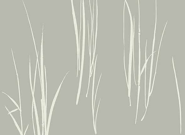 Обои Paper & Ink Coastal Chic CO10808