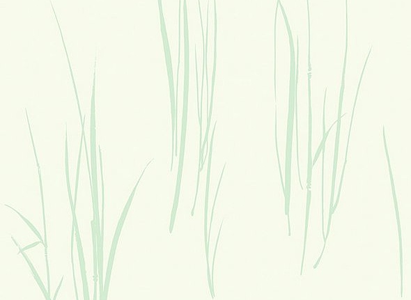 Обои Paper & Ink Coastal Chic CO10824