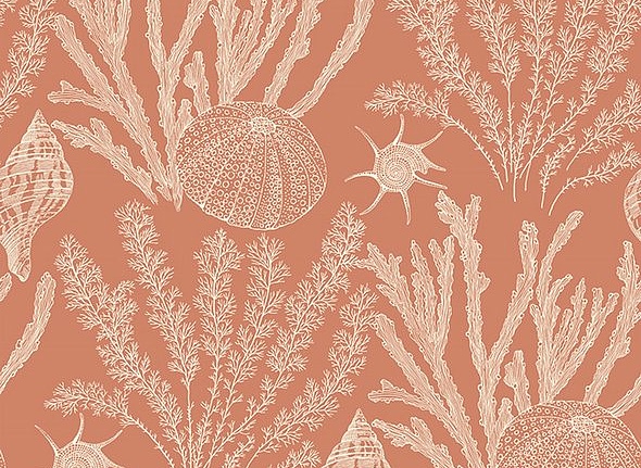 Обои Paper & Ink Coastal Chic CO11801