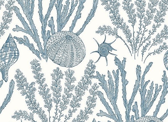 Обои Paper & Ink Coastal Chic CO11802