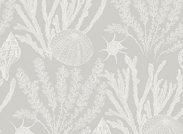 Обои Paper & Ink Coastal Chic CO11807