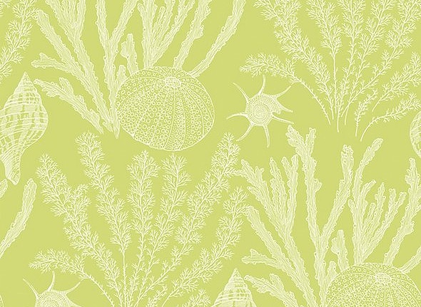 Обои Paper & Ink Coastal Chic CO11814