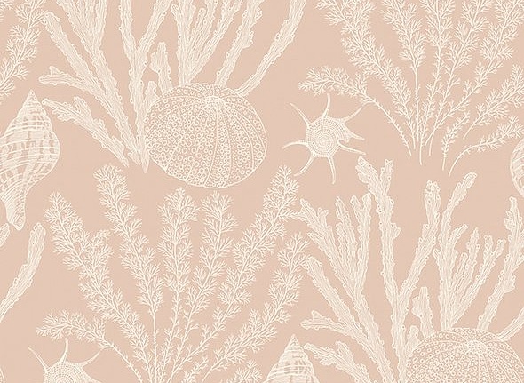 Обои Paper & Ink Coastal Chic CO11818