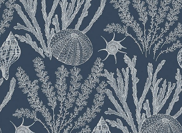 Обои Paper & Ink Coastal Chic CO11832
