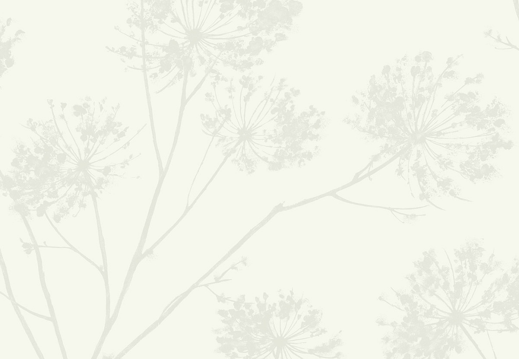 Обои Paper & Ink Modern Silhouettes LA40000
