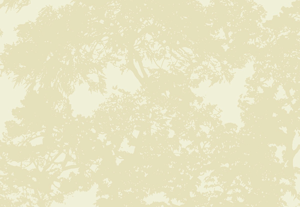 Обои Paper & Ink Modern Silhouettes LA42107