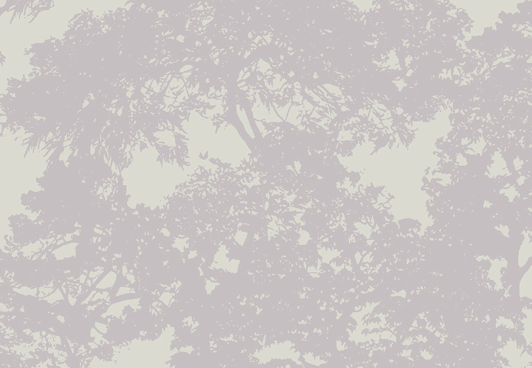 Обои Paper & Ink Modern Silhouettes LA42109