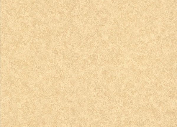 Обои KT-Exclusive Blaze of Glory 989-26959