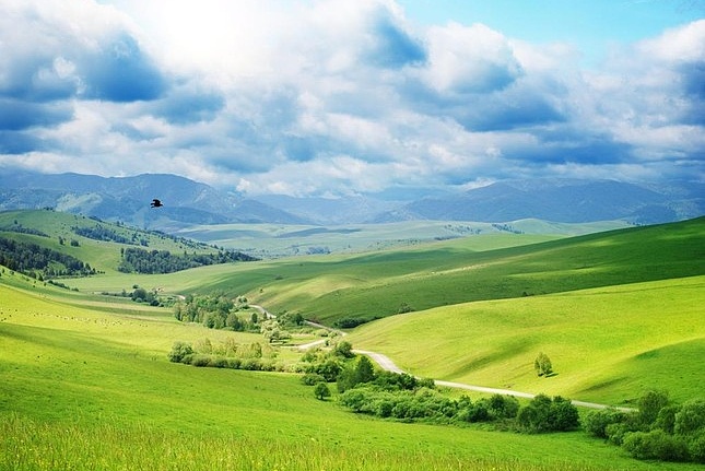 Панно и фотообои ID Wall NO.1 ID011167