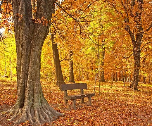 Панно и фотообои ID Wall NO.1 ID011168