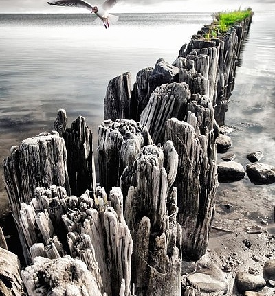 Панно и фотообои ID Wall NO.1 ID011210
