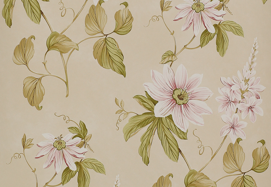 Обои Colefax and Fowler Baptista 07155-01