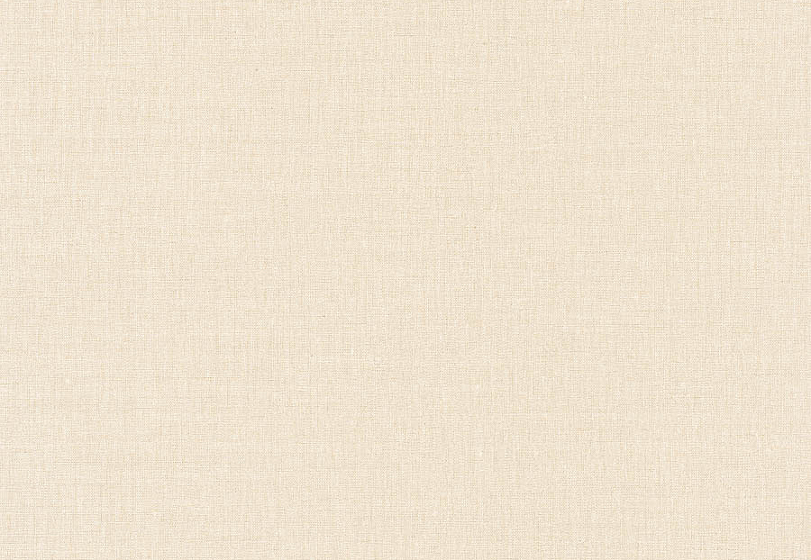 Обои Caselio Linen II INN68521255