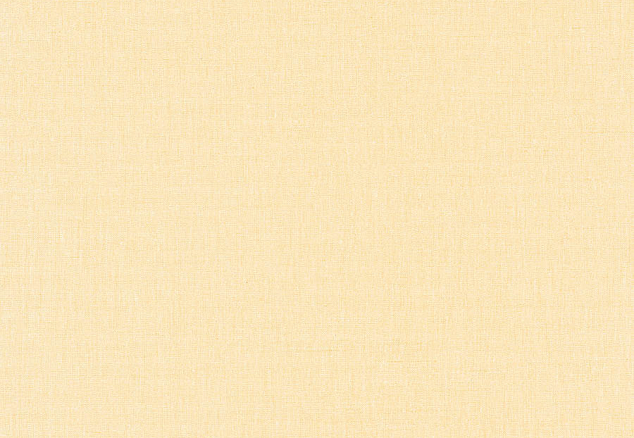 Обои Caselio Linen II INN68522259