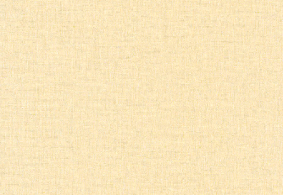 Обои Caselio Linen II INN68522259
