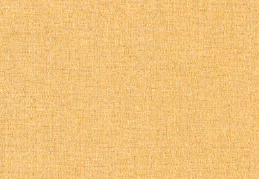 Обои Caselio Linen II INN68523250