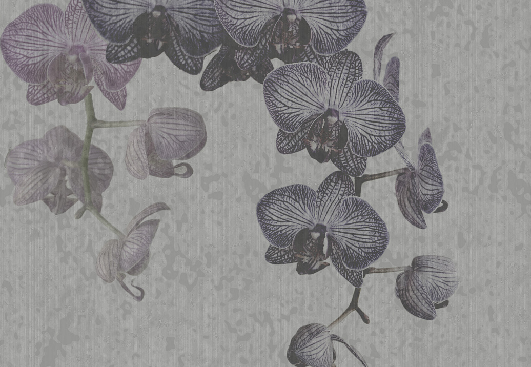 Панно и фотообои Tecnografica Collection 2018 61206-2