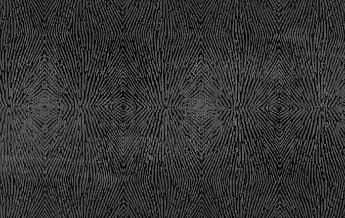 Бельгийская ткань Galleria Arben, коллекция Terranova, артикул Splendid/10-Onyx