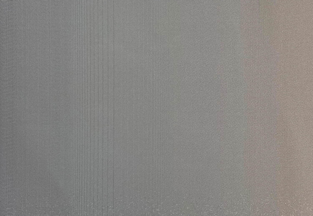 Ткань Jakob Schlaepfer Volume 1 720202/101