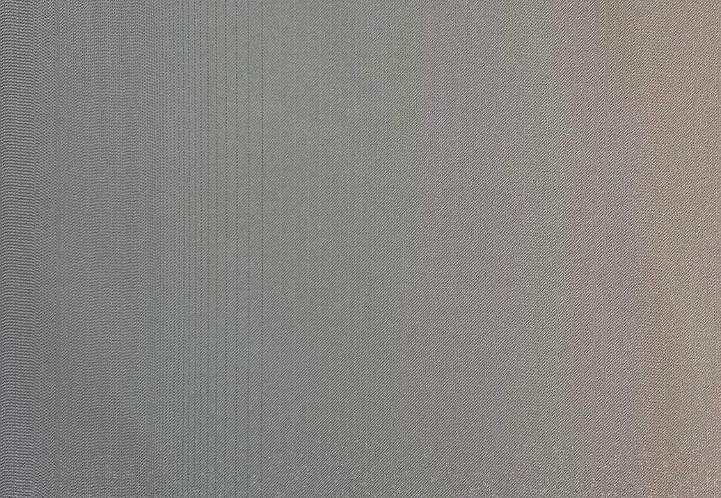 Ткань Jakob Schlaepfer Volume 1 720202/101