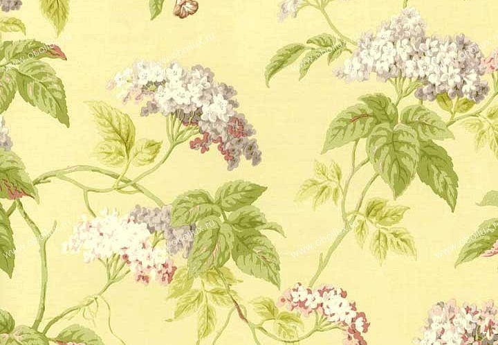 Обои Brewster Madison Florals 282-64069
