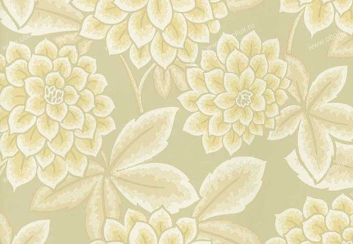 Обои Brewster Madison Florals 282-64048