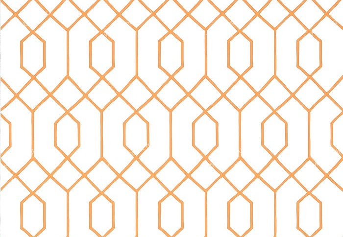 Обои Thibaut Graphic Resource T35200