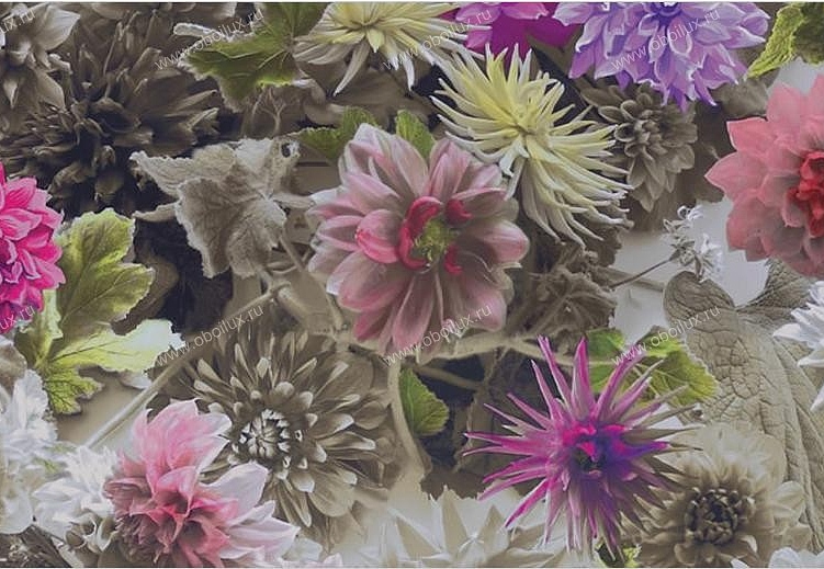 Обои Designers Guild Linnaeus P556/01