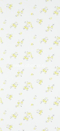 Обои Designers Guild Brera P588/04