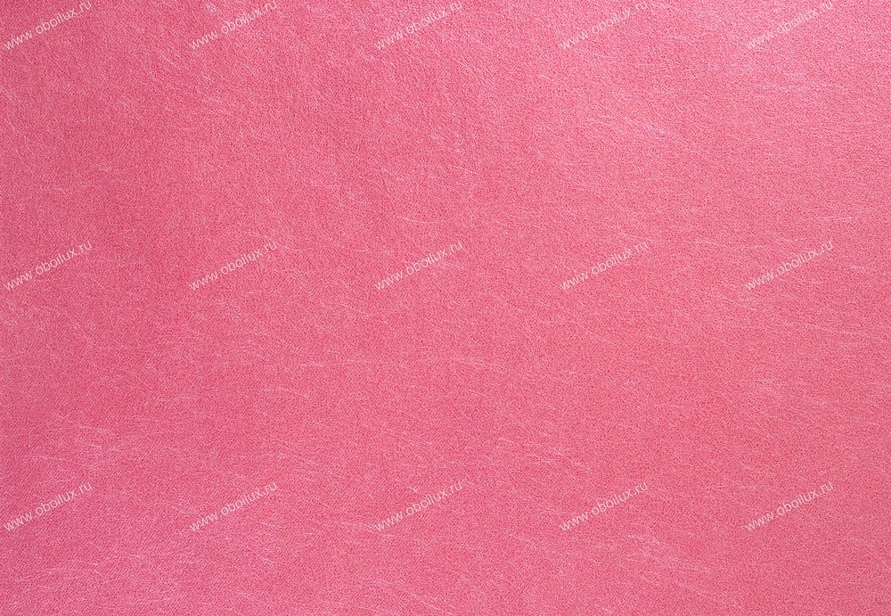 Обои Designers Guild Tsuga P502/13