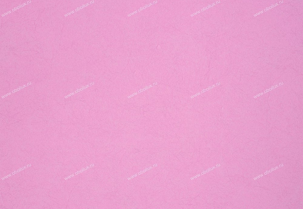 Обои Designers Guild Tsuga P502/40