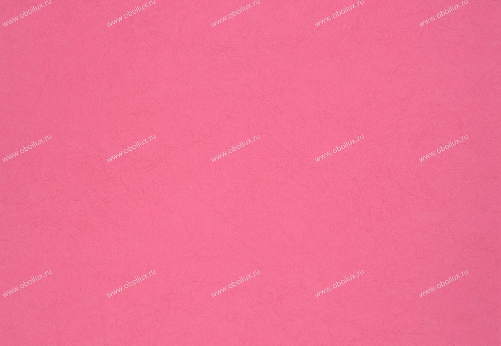 Обои Designers Guild Tsuga P502/41