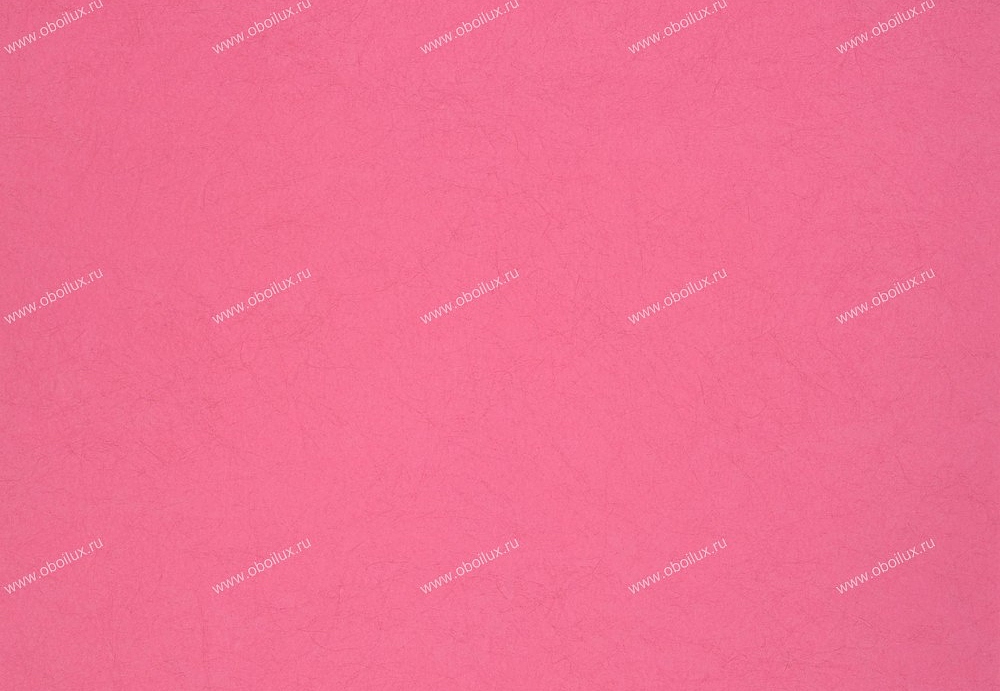 Обои Designers Guild Tsuga P502/41