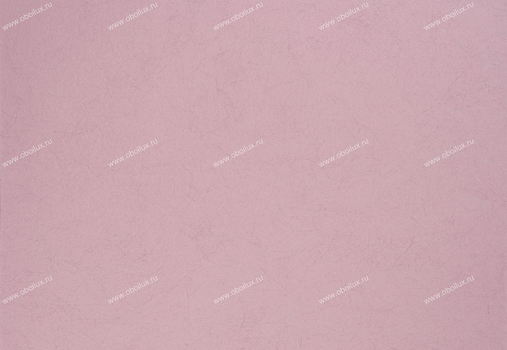 Обои Designers Guild Tsuga P502/42