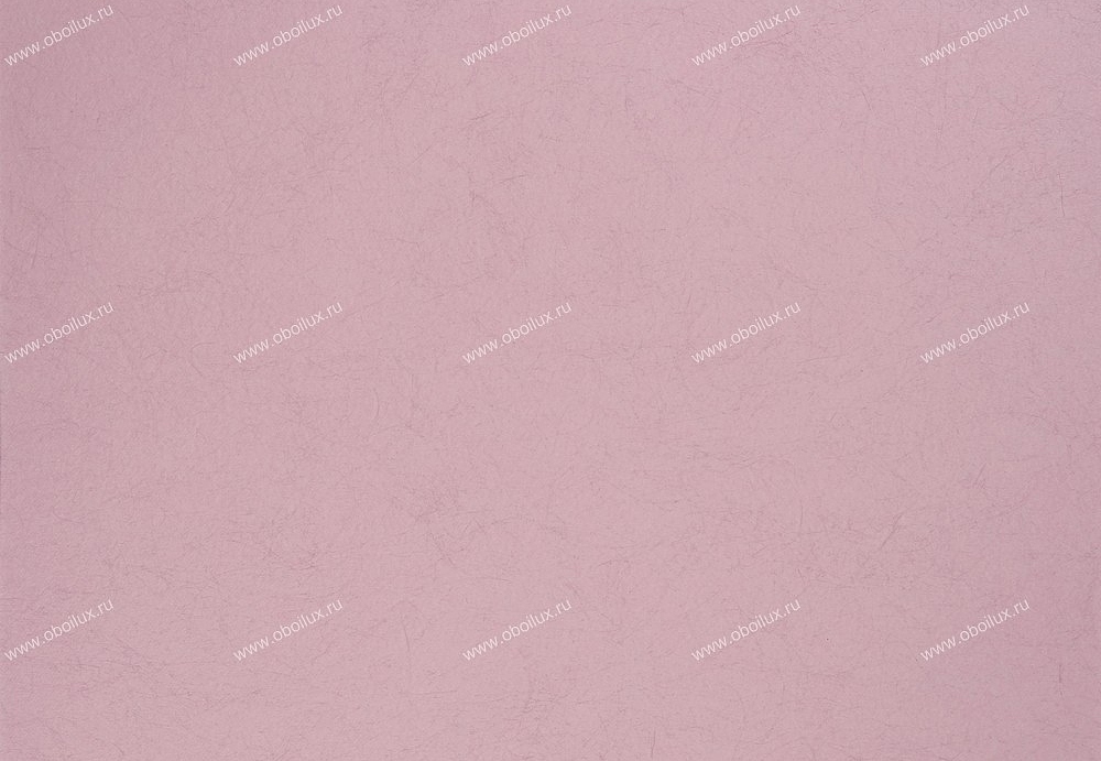 Обои Designers Guild Tsuga P502/42