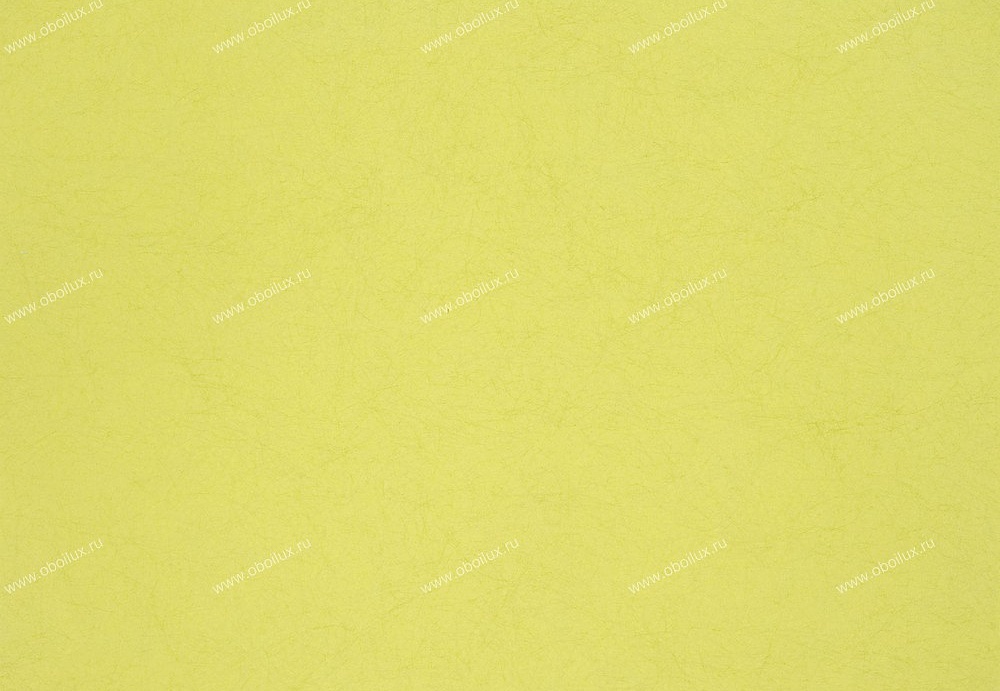 Обои Designers Guild Tsuga P502/53