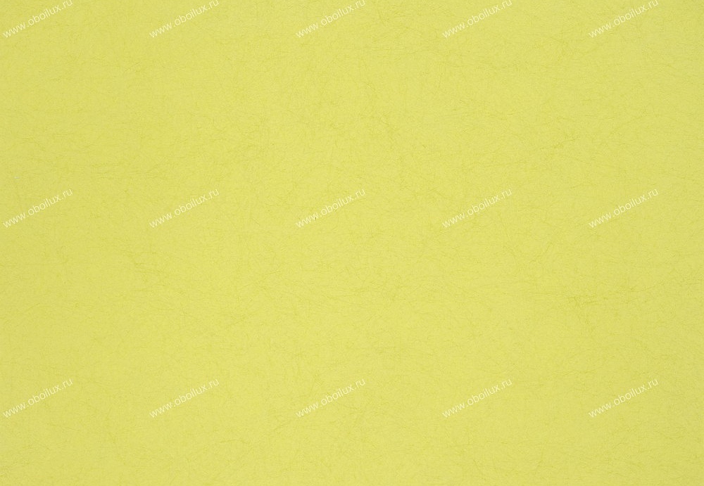 Обои Designers Guild Tsuga P502/53