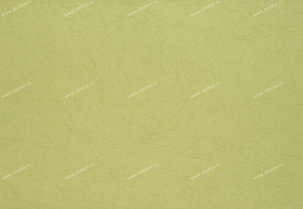 Обои Designers Guild Tsuga P502/55
